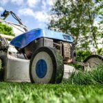 petrol lawn mower guide