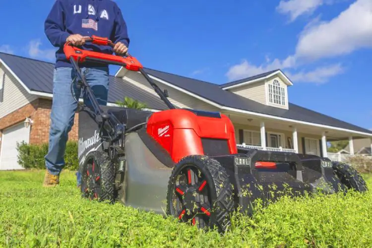 best cordless lawnmower in 2022
